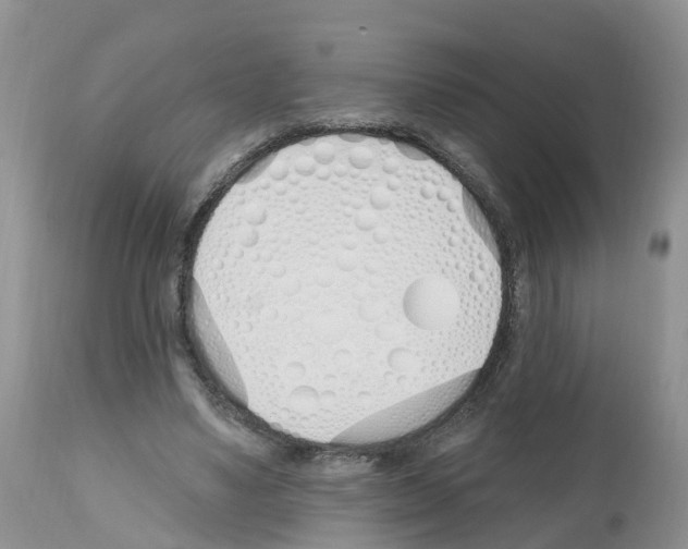 X0000112500491200909281201