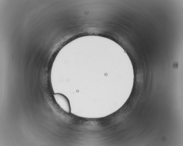 X0000112500492200909281201