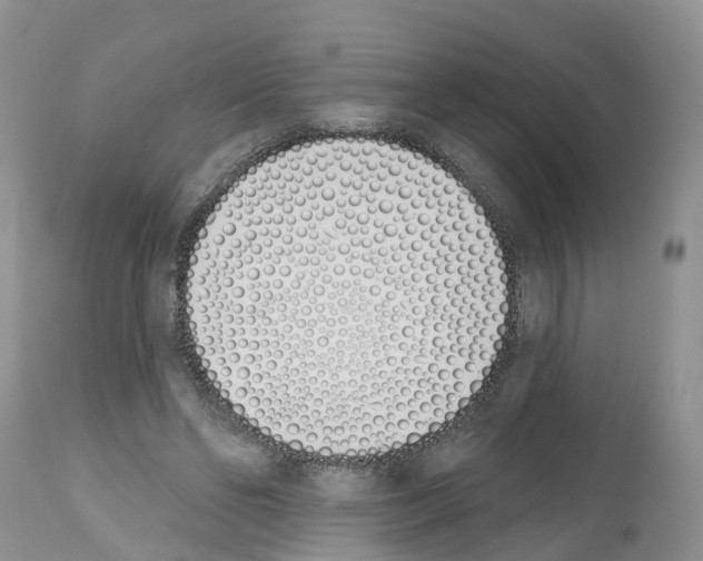 X0000112500494200909281201