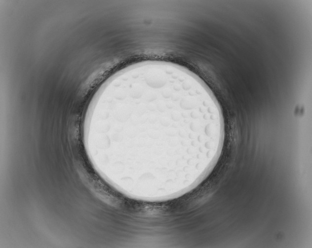 X0000112500495200909281201