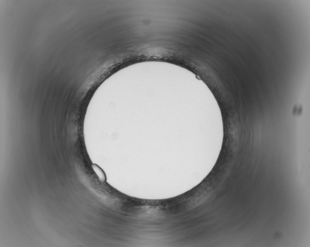 X0000112500496200909281200