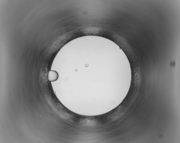 X0000112500498200909281200