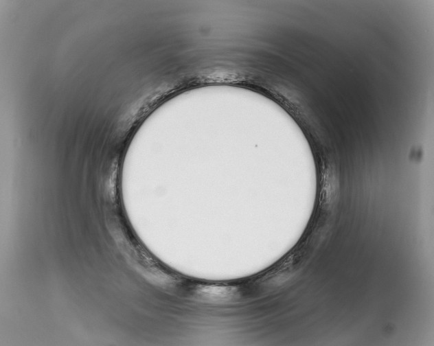 X0000112500499200909281200