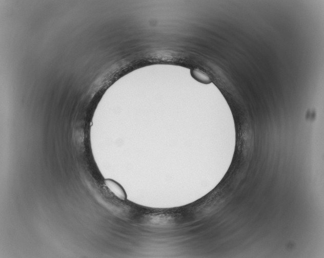 X0000112500500200909281200