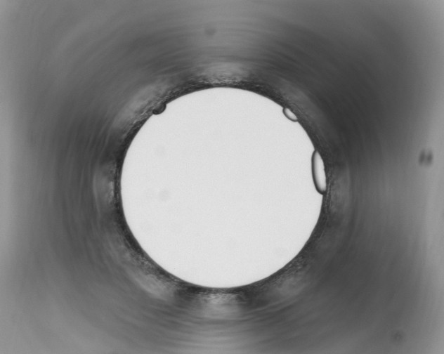 X0000112500501200909281200