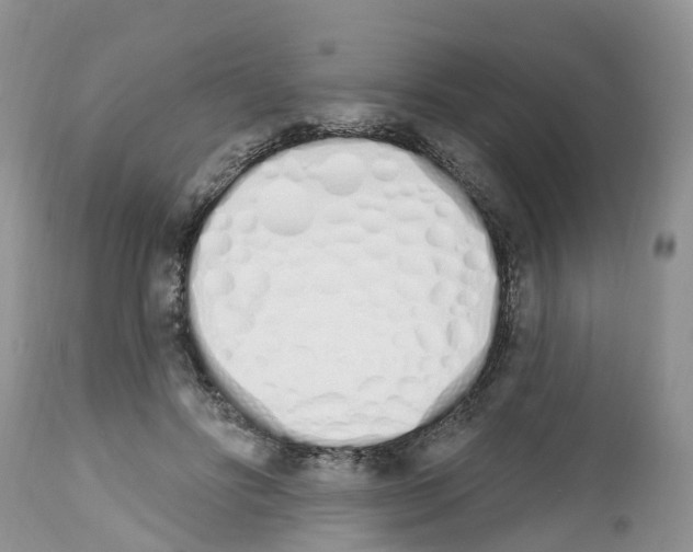 X0000112500502200909281200