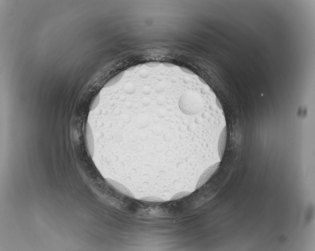 X0000112500503200909281200