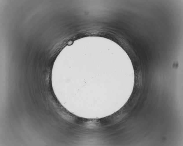 X0000112500505200909281200