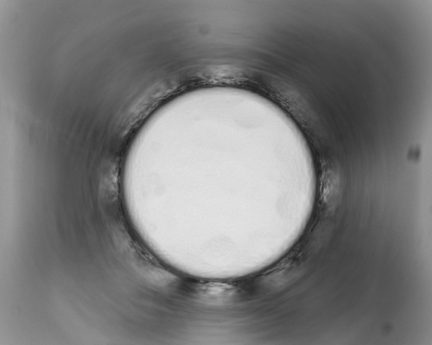 X0000112500506200909281200