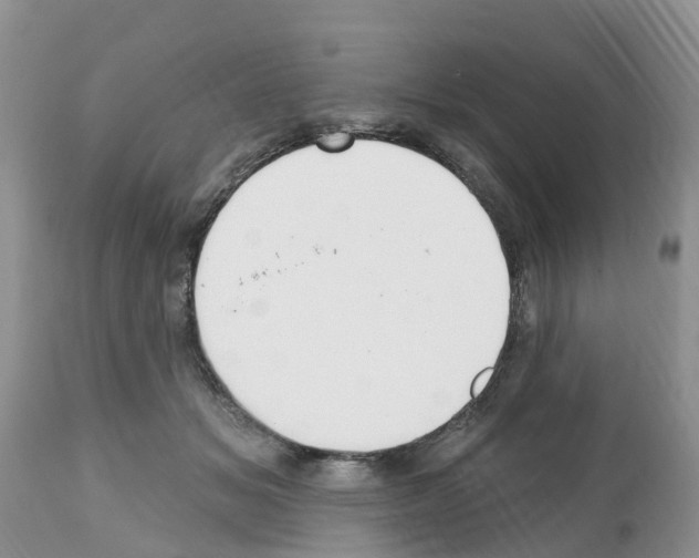 X0000112500509200909281200