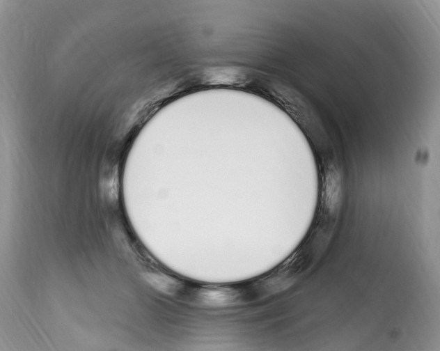 X0000112500510200909281200