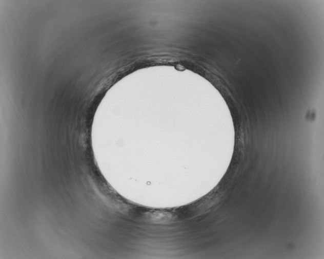 X0000112500512200909281200