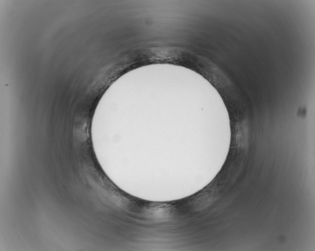 X0000112500514200909281200