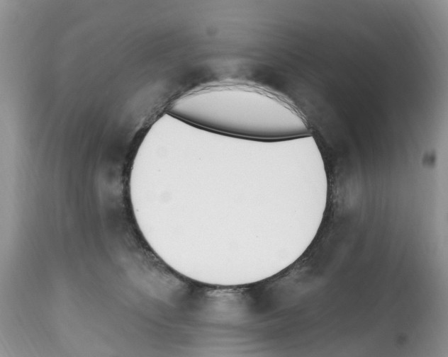 X0000112500516200909281200