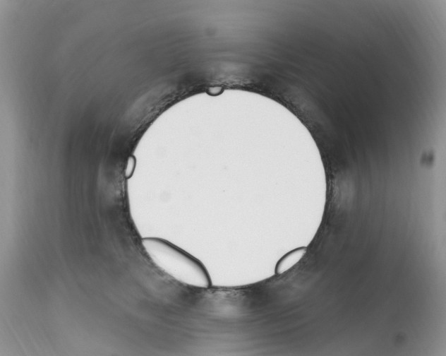 X0000112500517200909281200