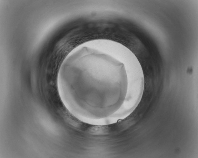 X0000112500526200909281200