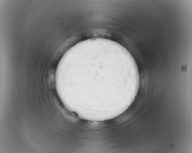 X0000112500527200909281200