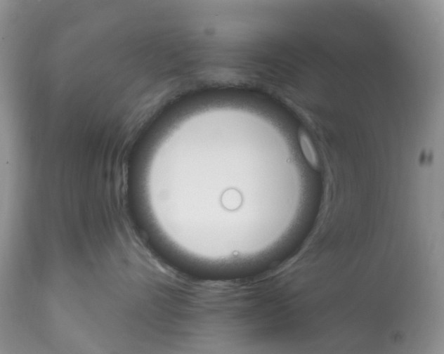 X0000112500528200909281200