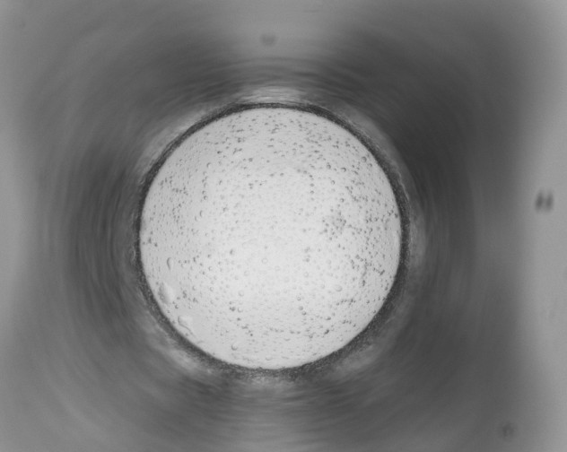 X0000112500529200909281159