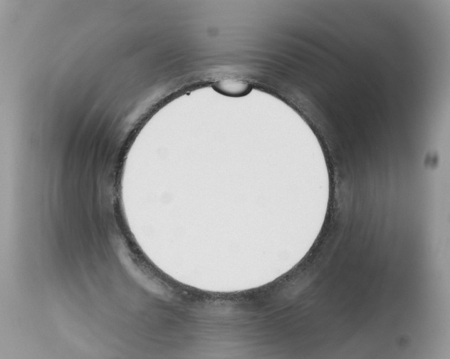 X0000112500530200909281159