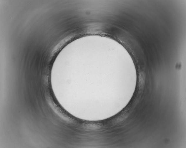 X0000112500533200909281159