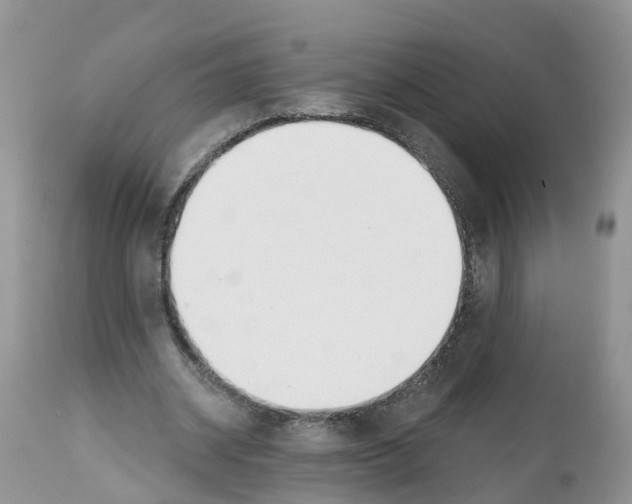 X0000112500534200909281159