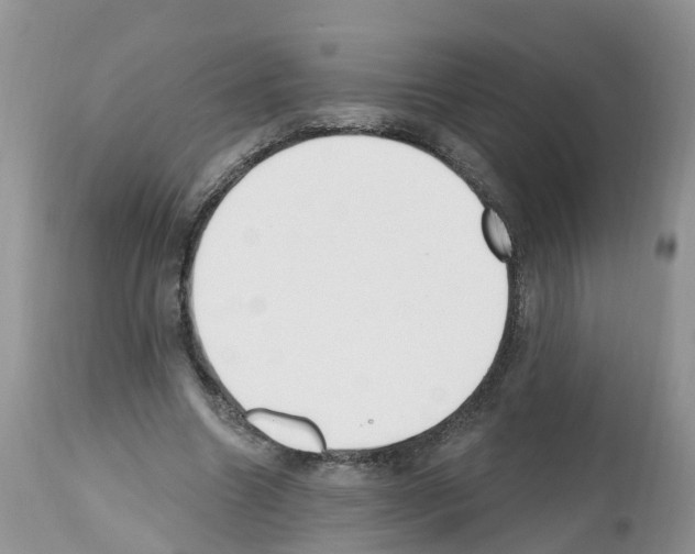 X0000112500538200909281159