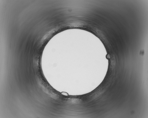 X0000112500539200909281159