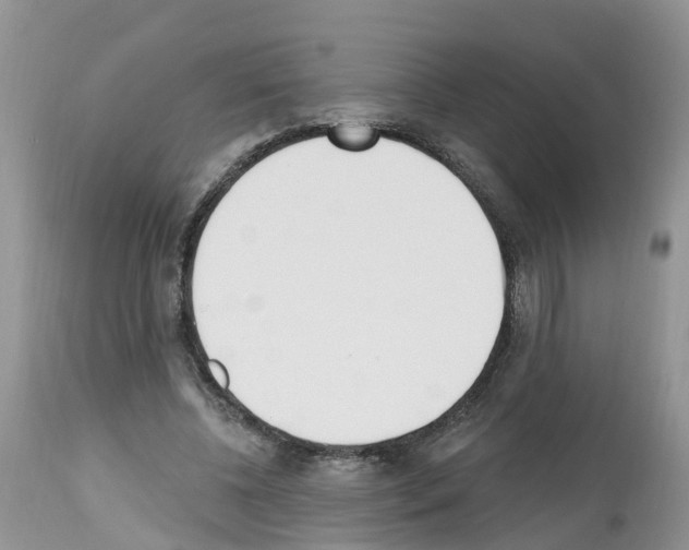 X0000112500540200909281159