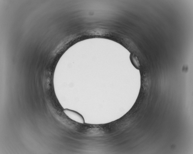 X0000112500544200909281200