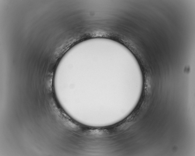 X0000112500545200909281200