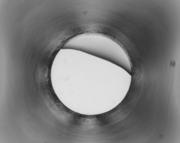 X0000112500548200909281200