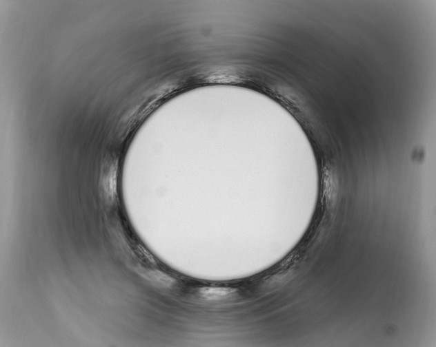 X0000112500549200909281200