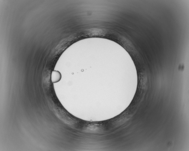 X0000112500550200909281200