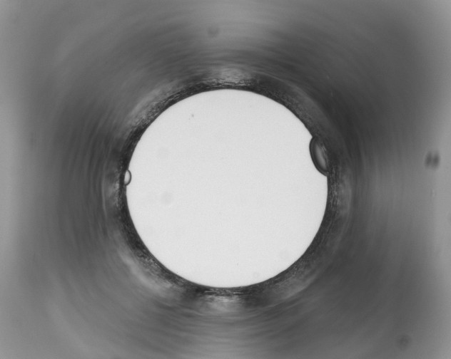 X0000112500552200909281200