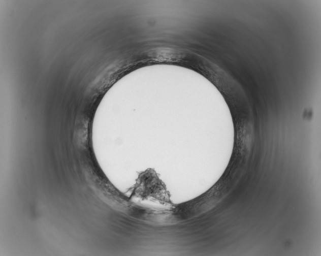 X0000112500554200909281200