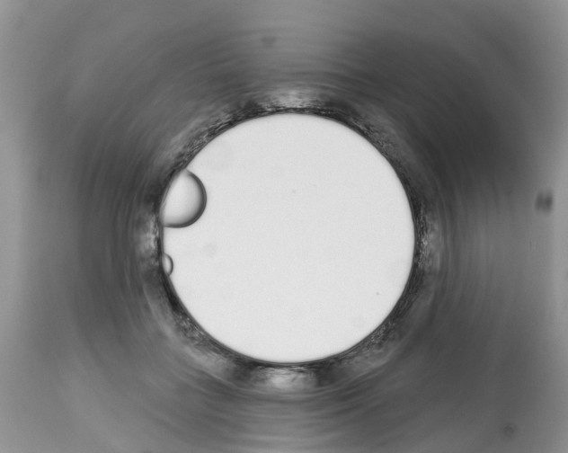 X0000112500555200909281200