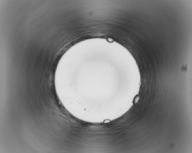 X0000112500556200909281200