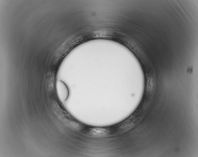 X0000112500557200909281200