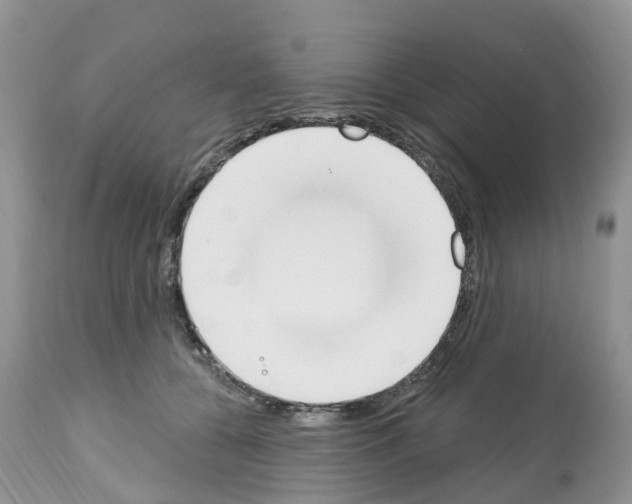 X0000112500560200909281200