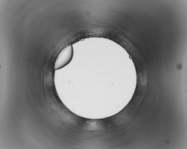 X0000112500564200909281200