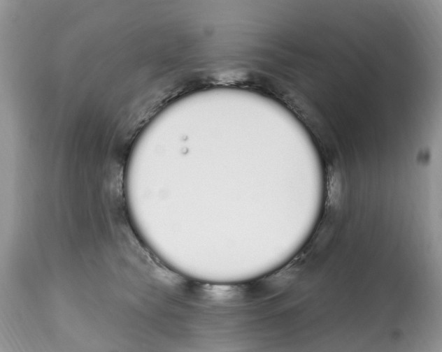 X0000112500565200909281200