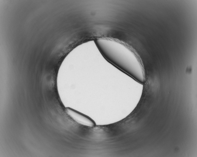 X0000112500566200909281200