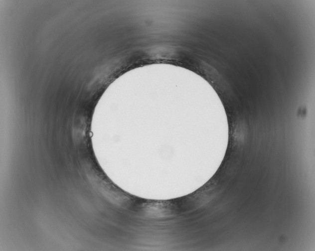 X0000112500567200909281200