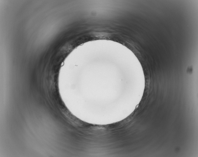 X0000112500572200909281200