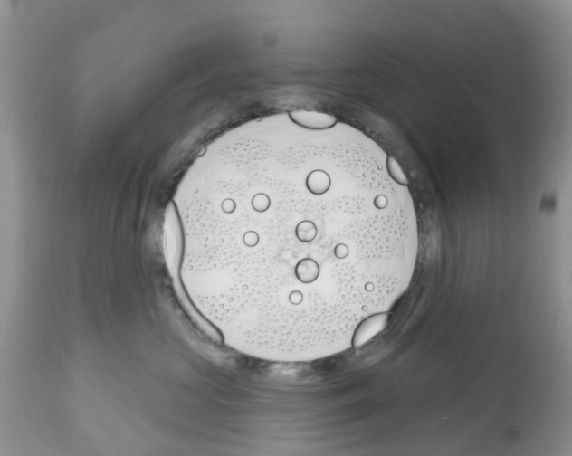 X0000112500573200909281200