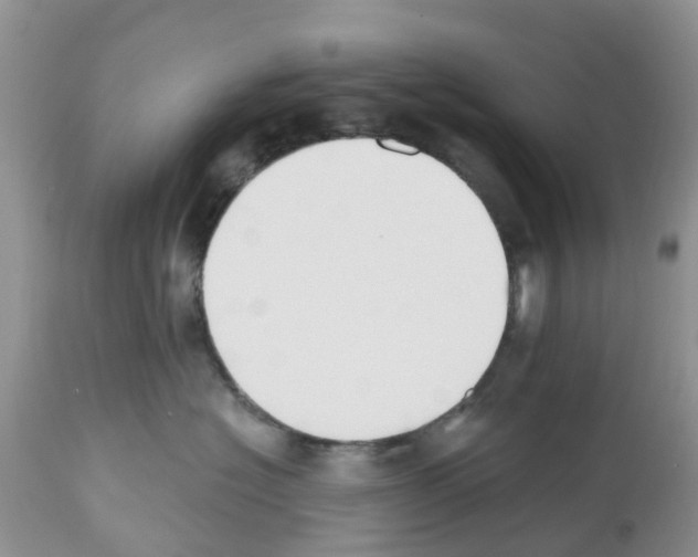 X0000112500574200909281200