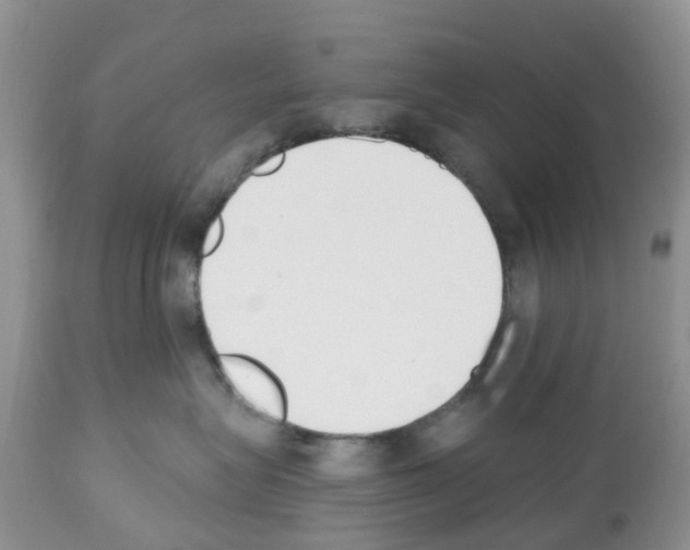 X0000112500575200909281200