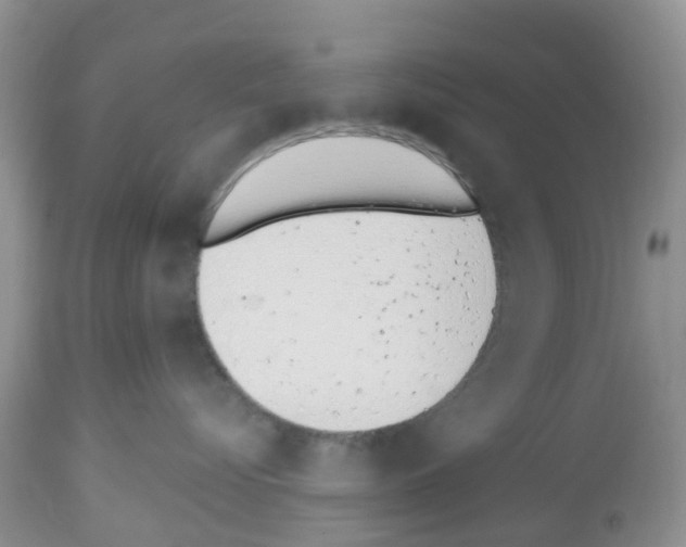 X0000112500576200909281200