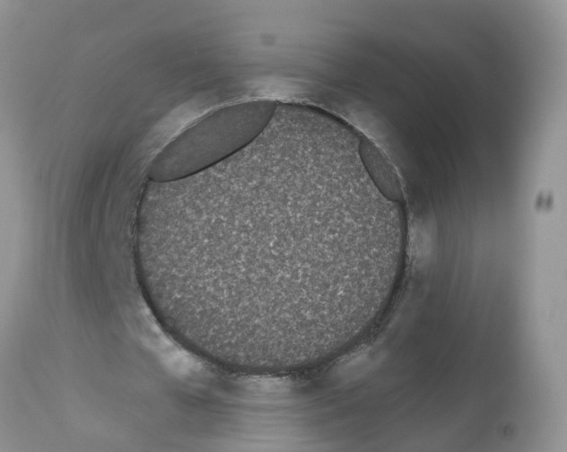 X0000112500577200909281159